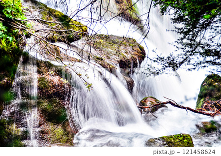 Sources of the Llobregat, Castellar de N'hug, Barcelona	 121458624