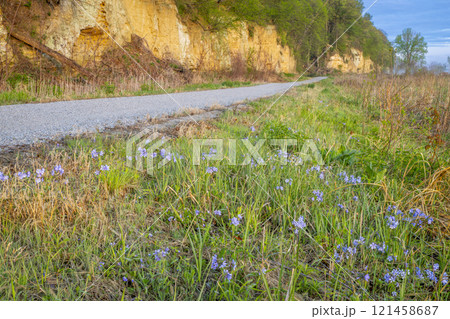 Steamboat Trace, bike trail converted from an abandoned railroad, near Peru, Nebraska, springtime morning scenery Steamboat Trace, bike trail converted from an abandoned railroad, near Peru, Nebraska, springtime morning scenery 121458687