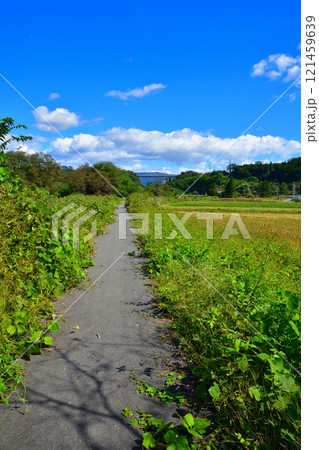 田舎風景 初秋の薄根川沿い 沼田市 田舎風景 初秋の薄根川沿い 沼田市 121459639