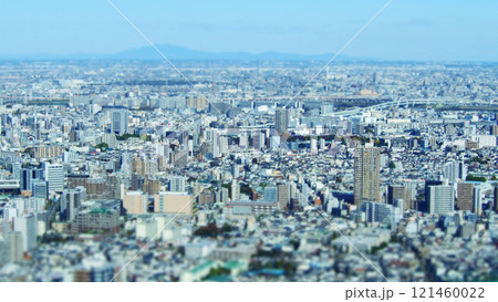 展望台から見た街並み　チルトシフト 121460022