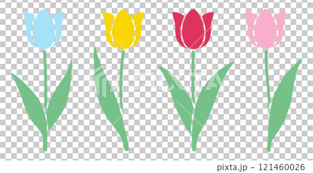 Cute tulip vector illustration 121460026