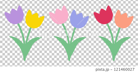 Cute tulip vector illustration 121460027