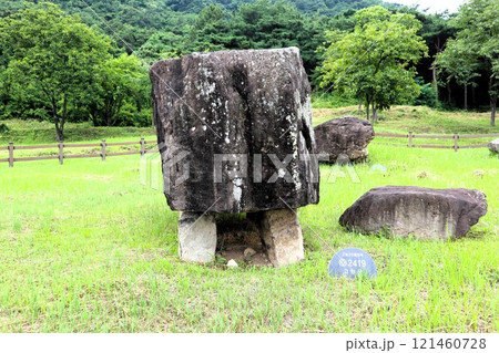 高敞コインドルの支石墓 121460728