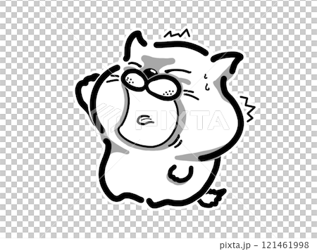 An angry cat 121461998