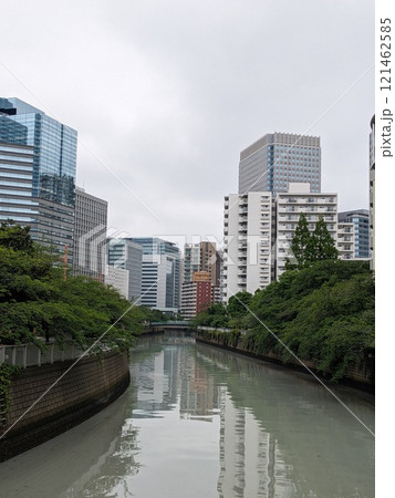 ヘドロで臭くて汚い目黒川 ヘドロで臭くて汚い目黒川 121462585