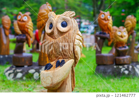 栃木県日光市 鬼怒川 月あかり花回廊 121462777