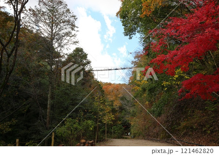大阪府民の森 ほしだ園地〈星のブランコ〉（国定公園）／ 大阪府交野市星田 121462820