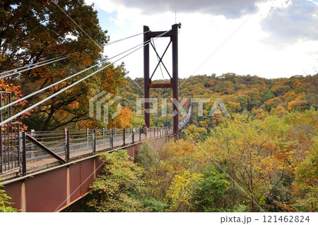 大阪府民の森 ほしだ園地〈星のブランコ〉(国定公園)/ 大阪府交野市星田 大阪府民の森 ほしだ園地〈星のブランコ〉(国定公園)/ 大阪府交野市星田 121462824