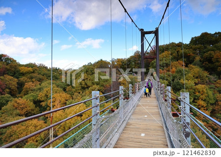 大阪府民の森 ほしだ園地〈星のブランコ〉（国定公園）／ 大阪府交野市星田 121462830