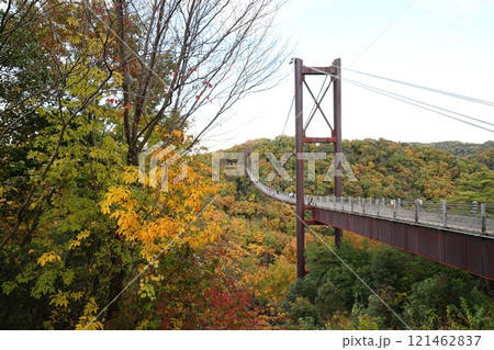大阪府民の森 ほしだ園地〈星のブランコ〉（国定公園）／ 大阪府交野市星田 121462837