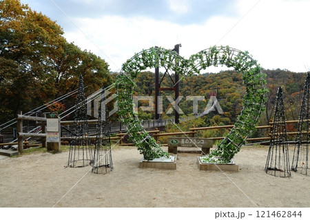 大阪府民の森 ほしだ園地〈星のブランコ〉（国定公園）／ 大阪府交野市星田 121462844