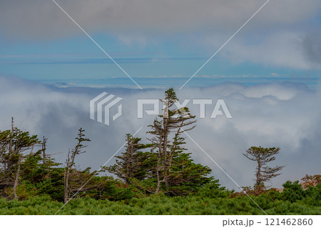 東吾妻山山頂から見える雲海 東吾妻山山頂から見える雲海 121462860