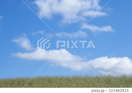 夏草と爽やかな夏空 蒜山高原 夏草と爽やかな夏空 蒜山高原 121462915