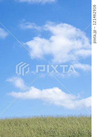 夏草と爽やかな夏空　蒜山高原 121462916