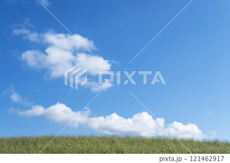 夏草と爽やかな夏空　蒜山高原 121462917