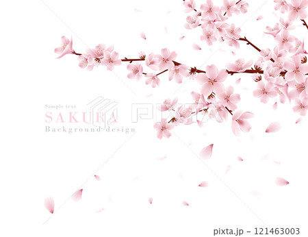 桜咲く枝と桜の花びら舞う背景のリアルイラスト|春の景色 桜咲く枝と桜の花びら舞う背景のリアルイラスト|春の景色 121463003