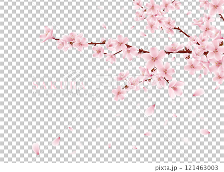 桜咲く枝と桜の花びら舞う背景のリアルイラスト|春の景色 桜咲く枝と桜の花びら舞う背景のリアルイラスト|春の景色 121463003