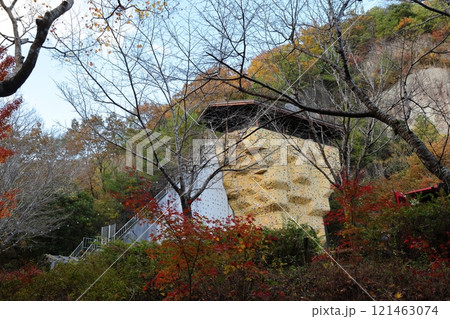 大阪府民の森 ほしだ園地〈クライミングウォール〉（国定公園）／ 大阪府交野市星田 121463074