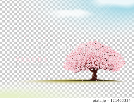 青空広がる草原の上に立つ桜の風景のリアルイラスト|春の桜の景色 青空広がる草原の上に立つ桜の風景のリアルイラスト|春の桜の景色 121463334