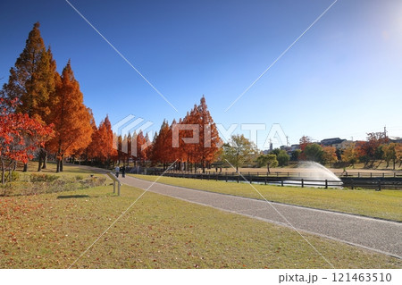 打上川治水緑地 秋絶景 / 【大阪府寝屋川市太秦桜が丘】 打上川治水緑地 秋絶景 / 【大阪府寝屋川市太秦桜が丘】 121463510