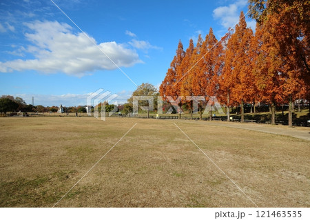 打上川治水緑地 秋絶景 / 【大阪府寝屋川市太秦桜が丘】 打上川治水緑地 秋絶景 / 【大阪府寝屋川市太秦桜が丘】 121463535