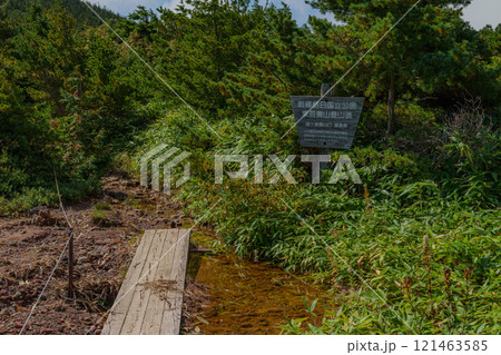 東吾妻山登山道 東吾妻山登山道 121463585