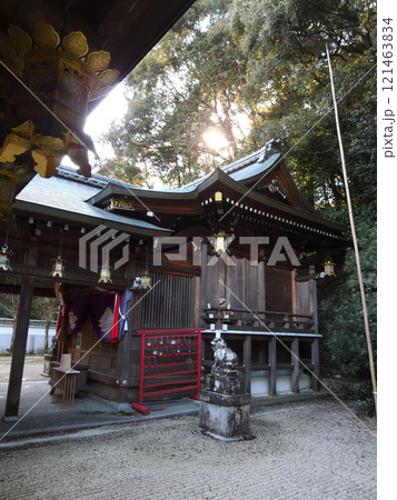 早尾神社　本殿 121463834