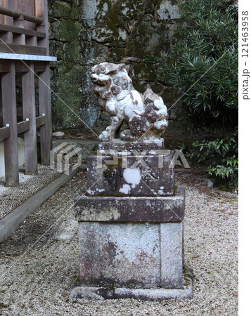 早尾神社 狛犬 早尾神社 狛犬 121463958