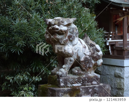 早尾神社 狛犬 早尾神社 狛犬 121463959