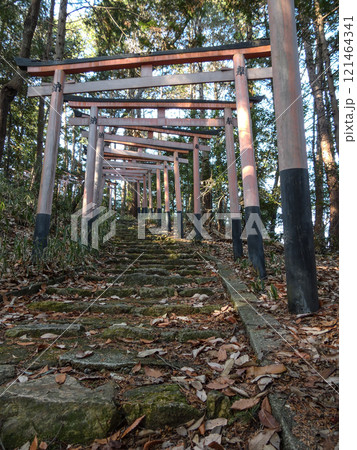 早尾神社外社 常盤稲荷社 早尾神社外社 常盤稲荷社 121464341