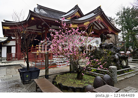 素盞雄神社（すさのお神社）本殿 121464489