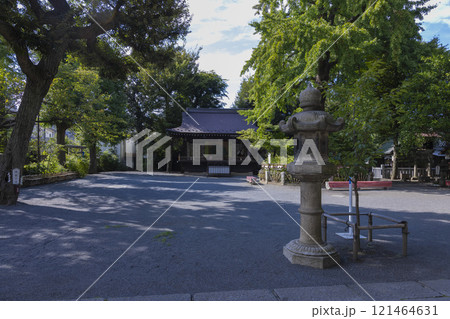 七社神社の舞殿と御神木【伝統イメージ】 121464631