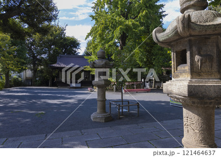 七社神社の舞殿と御神木【伝統イメージ】 121464637