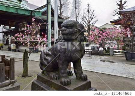 素盞雄神社(すさのお神社)狛犬 素盞雄神社(すさのお神社)狛犬 121464663