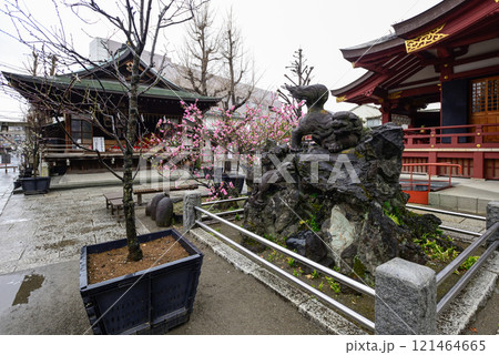 素盞雄神社(すさのお神社)狛犬 素盞雄神社(すさのお神社)狛犬 121464665