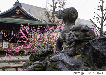 素盞雄神社(すさのお神社)狛犬 素盞雄神社(すさのお神社)狛犬 121464671