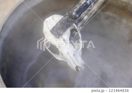 猟師がアライグマの骨を煮て置物を作るイメージ 121464838