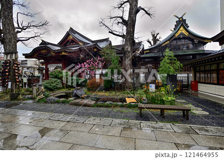 素盞雄神社(すさのお神社) 素盞雄神社(すさのお神社) 121464955