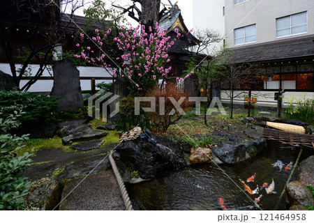 素盞雄神社(すさのお神社) 素盞雄神社(すさのお神社) 121464958