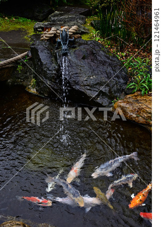 素盞雄神社(すさのお神社) 素盞雄神社(すさのお神社) 121464961