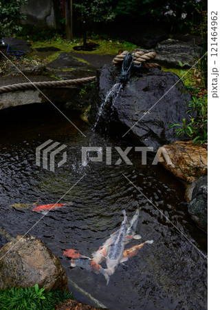 素盞雄神社(すさのお神社) 素盞雄神社(すさのお神社) 121464962