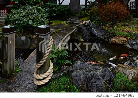 素盞雄神社(すさのお神社) 素盞雄神社(すさのお神社) 121464963