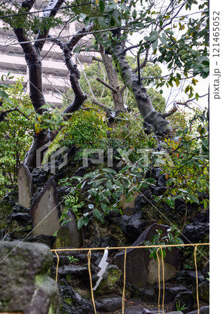 素盞雄神社(すさのお神社)富士塚・小塚原富士 素盞雄神社(すさのお神社)富士塚・小塚原富士 121465052