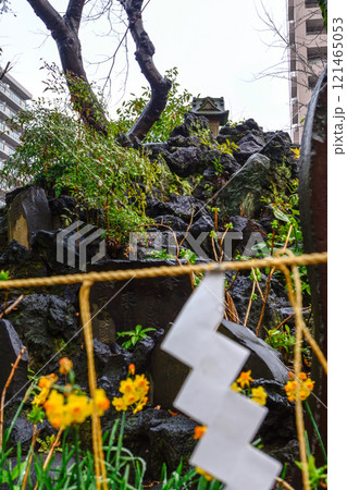素盞雄神社（すさのお神社）富士塚・小塚原富士 121465053