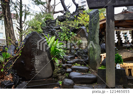 素盞雄神社(すさのお神社)富士塚・小塚原富士 素盞雄神社(すさのお神社)富士塚・小塚原富士 121465055