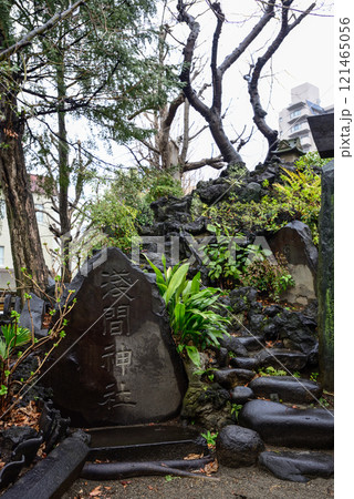 素盞雄神社(すさのお神社)富士塚・小塚原富士 素盞雄神社(すさのお神社)富士塚・小塚原富士 121465056