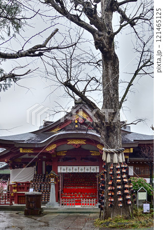 素盞雄神社(すさのお神社)子育ての銀杏 素盞雄神社(すさのお神社)子育ての銀杏 121465125