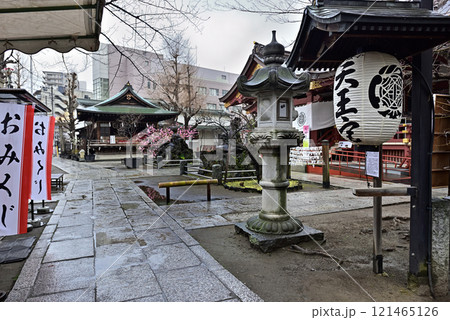 素盞雄神社(すさのお神社)社殿 素盞雄神社(すさのお神社)社殿 121465126