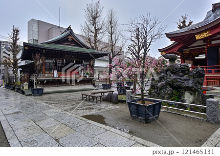 素盞雄神社(すさのお神社)社殿 素盞雄神社(すさのお神社)社殿 121465131