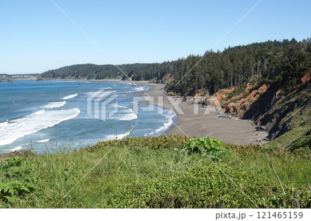 Scenic Coastal Beach with Lush Green Hills at Crescent city, California Scenic Coastal Beach with Lush Green Hills at Crescent city, California 121465159